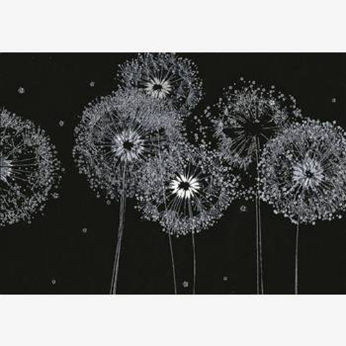 Pusteblumen in Schwarz