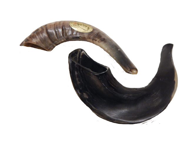 Schofar 8 Schofar 8
