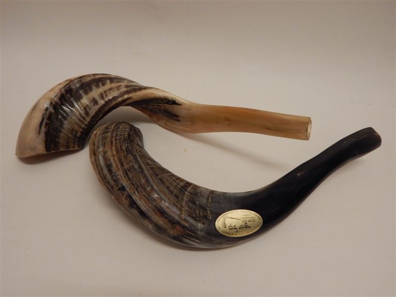 Schofar 6
