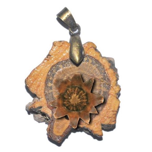 Anhänger Holscheibe Anhänger Holscheibe