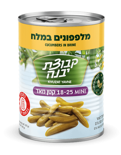 Eingelegte Salzgurken, Kvuzat Yavne 18-25 Stück