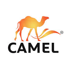 Camel Sandals
