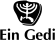 Ein Gedi