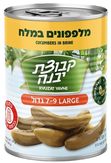 Eingelegte Salzgurken, Kvuzat Yavne